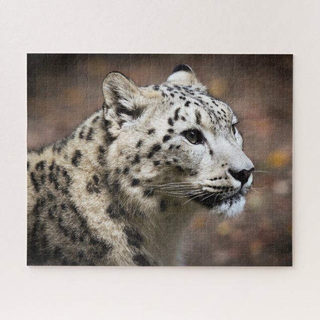 Beau léopard des neiges, Puzzle (Horizontal)