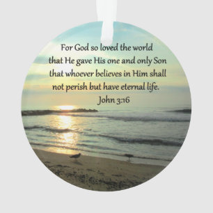 BEAU LEVER DE LEVER JOHN 3:16 DESIGN