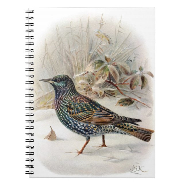 Beau livre de notes de Starling Commun (Devant)