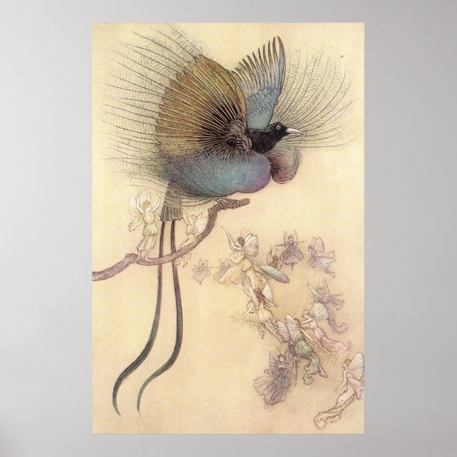 Beau oiseau du Paradis par Warwick Goble Poster (Devant)