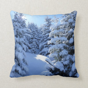 Beau Oreiller Pittoresque hiver