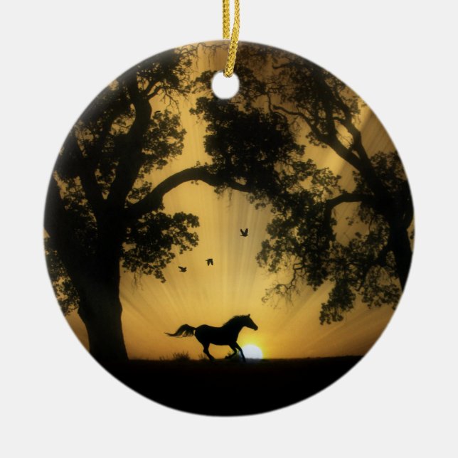 Beau Ornement de Cheval et lever du soleil (Devant)