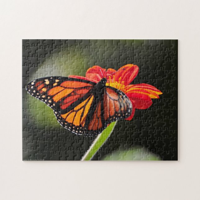 Beau papillon Monarque - Puzzle (Horizontal)