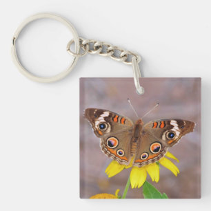 Beau papillon sur Fleur Jaune