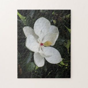 Beau paysage extérieur Puzzle