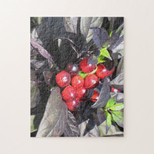 Beau paysage extérieur Puzzle