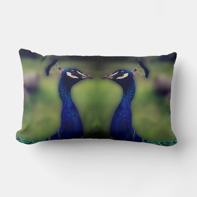 Beau Peacock Photo Lumbar Coussin (Recto)