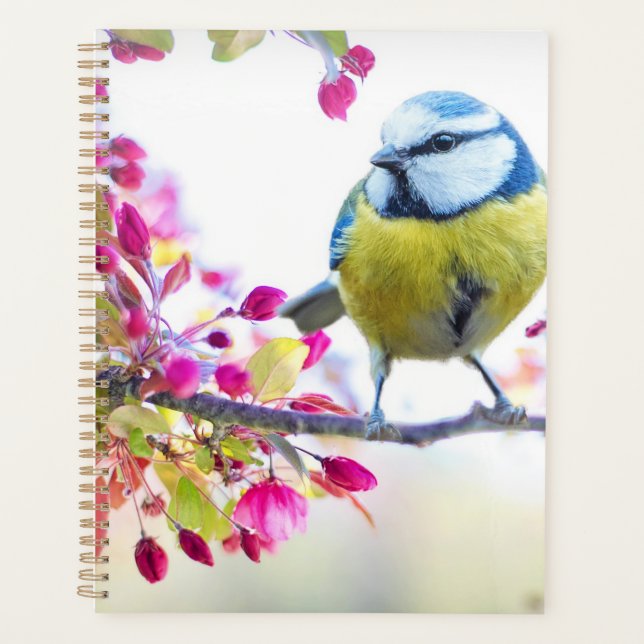 Beau planificateur d'oiseaux de printemps (Devant)