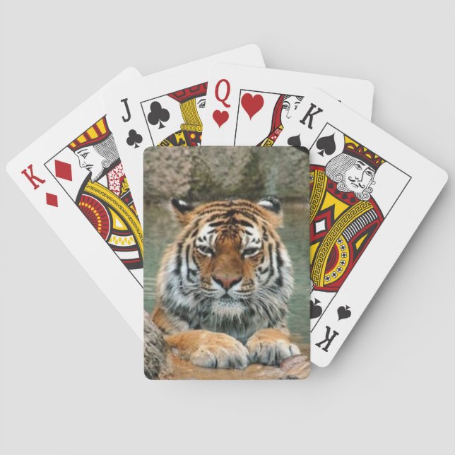 Beau plateau de tigres de cartes à jouer (dos)