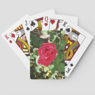 Beau pont Rose de cartes à jouer