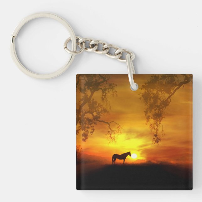 Beau Porte - clé de Cheval du Sud-Ouest (Devant)