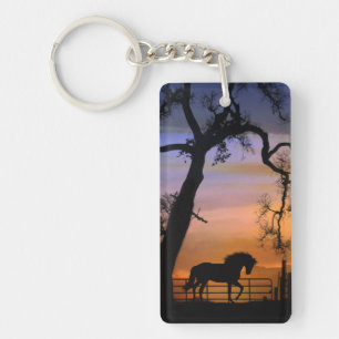 Beau Porte - clé de cheval lunatique