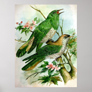 beau poster vintage peignant 27