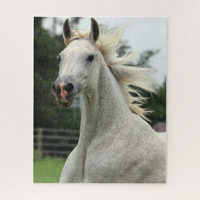 Beau puzzle Arabe de cheval (Vertical)