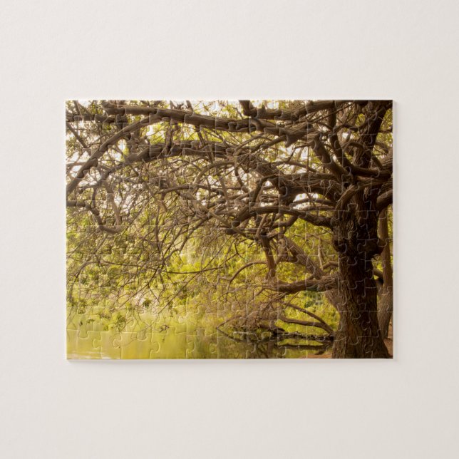 Beau Puzzle d'arbre (Horizontal)