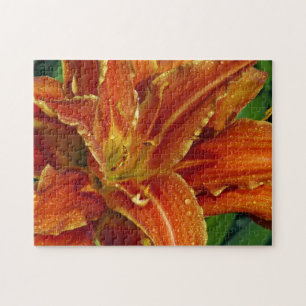 Beau puzzle de lys orange