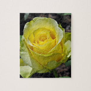 Beau puzzle jaune rose