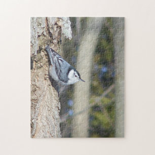 Beau Puzzle Nuthatch
