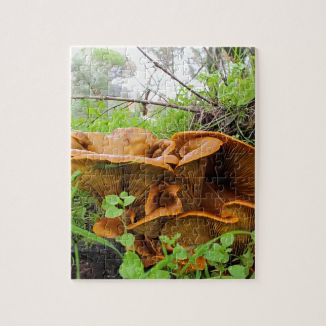 Beau puzzle orange de champignon (Vertical)