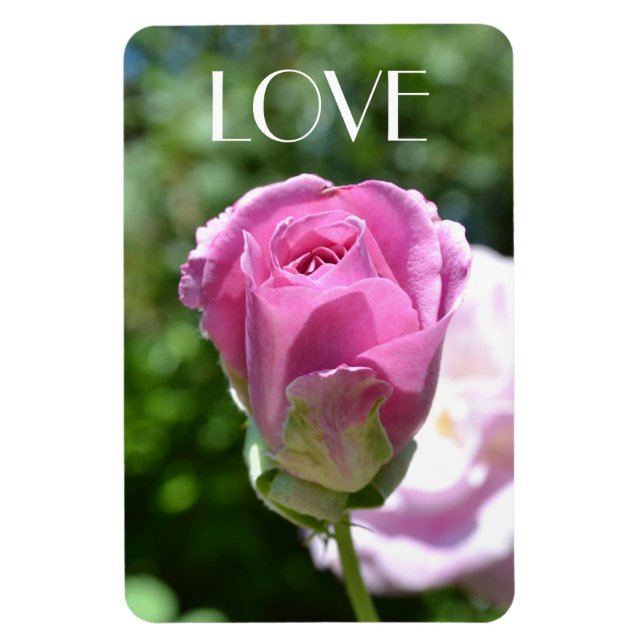 Beau Rose Bud Love Magnet (Vertical)