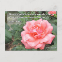 Beau Rose dans Carte postale Bloom avec citation L