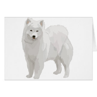 Beau Samoyed