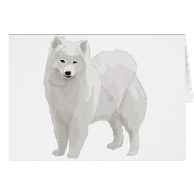 Beau Samoyed (Devant horizontal)