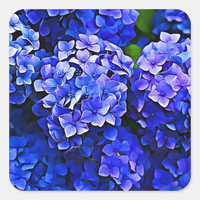 Beau Stickers Blue Hydrangea Fleurs (Devant)
