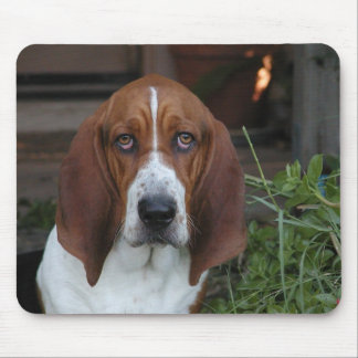 Beau tapis de souris de Basset Hound