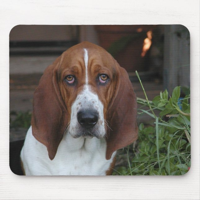 Beau tapis de souris de Basset Hound (Devant)