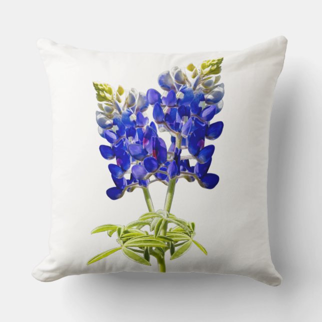 Beau Texas Bluebonnets sur blanc, Coussin (Recto)