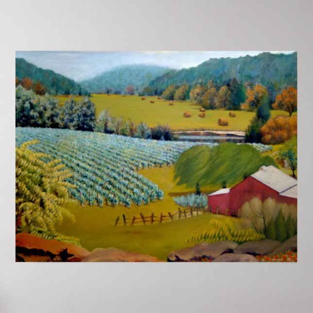 Beau vignoble sur Augusta Missouri Poster de ferme (Devant)