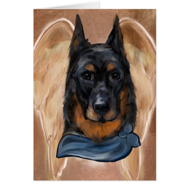 Beauceron (Vorne)