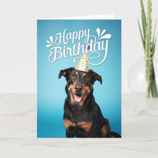 Beauceron Dog Happy Birthday Karte