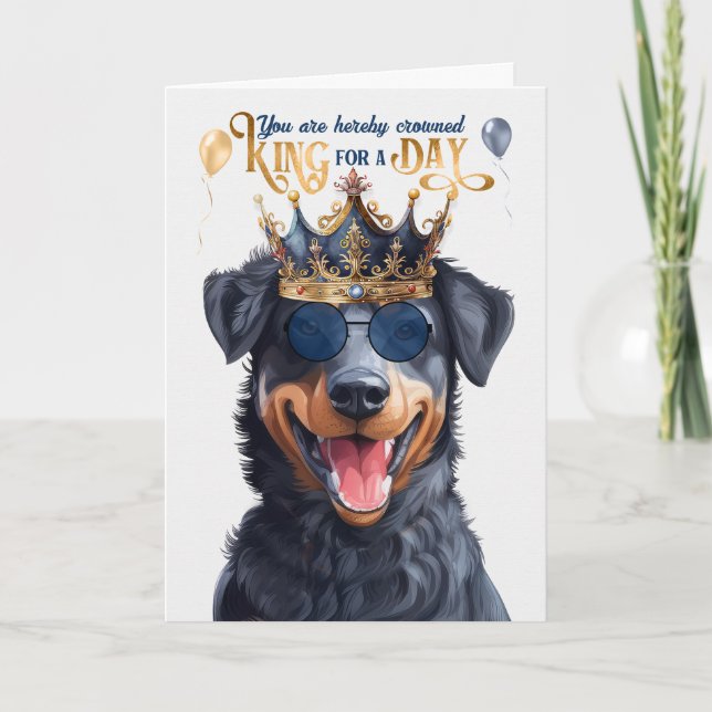 Beauceron Dog King for Day Funny Birthday Karte (Vorderseite)
