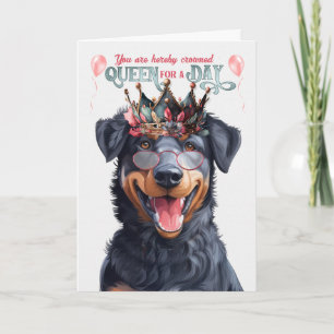 Beauceron Dog Queen for Day Funny Birthday Karte