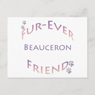 Beauceron Furever Postkarte