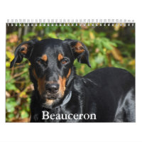 Beauceron-Kalender