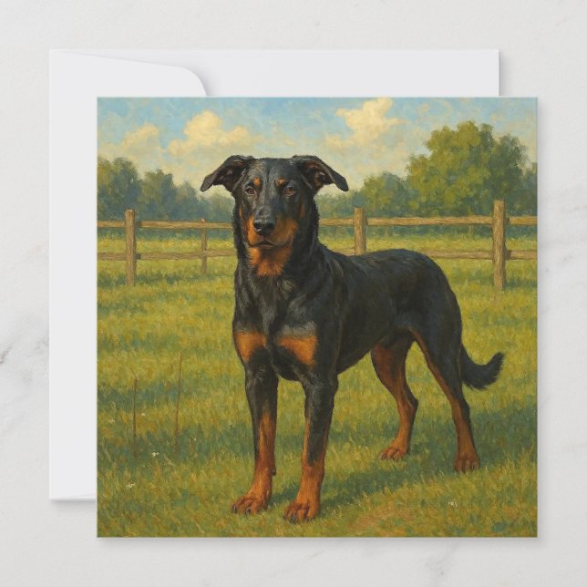 Beauceron Karte (Vorderseite)