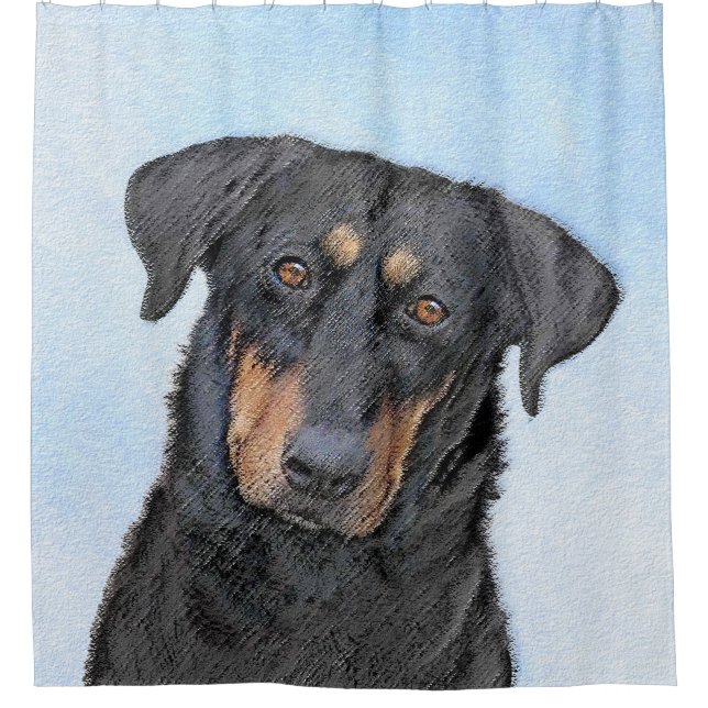Beauceron Malerei - Niedliche Original Hunde Kunst Duschvorhang (Vorderseite)