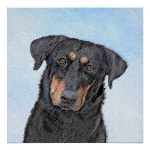 Beauceron Malerei - Niedliche Original Hunde Kunst Poster