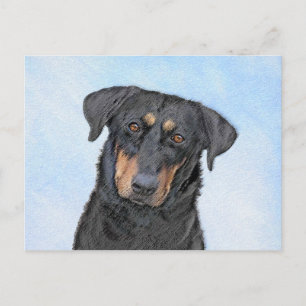 Beauceron Malerei - Niedliche Original Hunde Kunst Postkarte