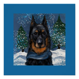 Beauceron Poster