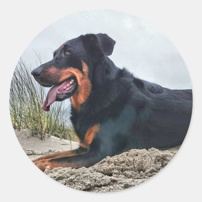 Beauceron Runder Aufkleber (Vorderseite)
