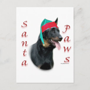 Beauceron Santa Paws Feiertagspostkarte