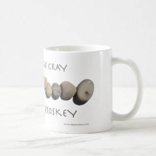 "Beaucoup sont gris peu sont tasse en céramique de