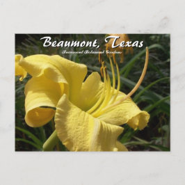 Beaumont, Texas Botanischer Garten Traumreise Postkarte