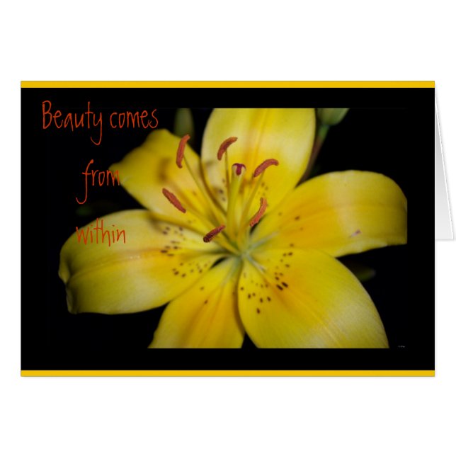 Beauté à l'intérieur (Devant horizontal)