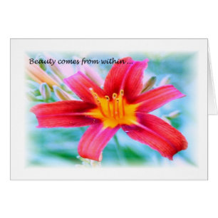 Beauté à l'intérieur