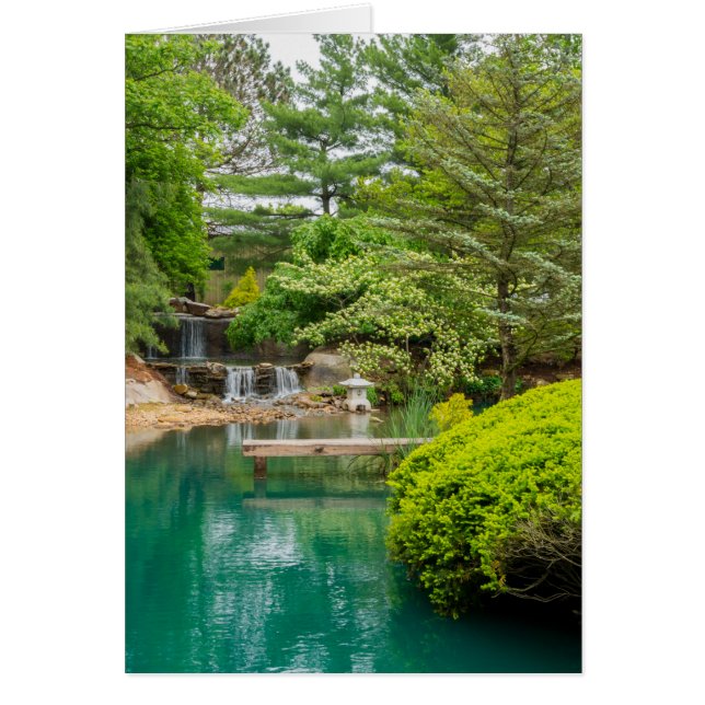 Beauté botanique du printemps (Devant)